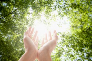 put the palms up towards the sunlight.